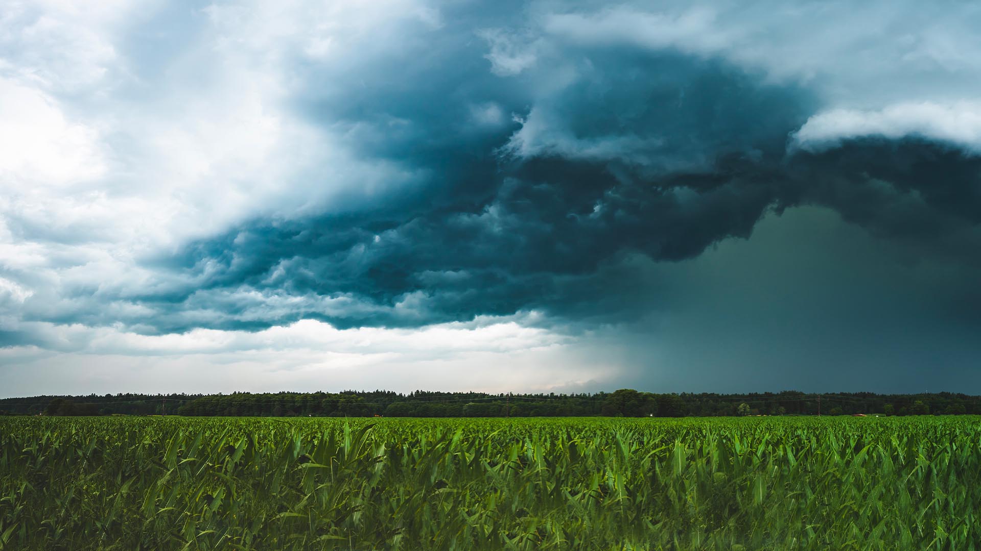 ¿Cómo pueden responder los agricultores al cambio climático? | Nuevo episodio de Global Trends