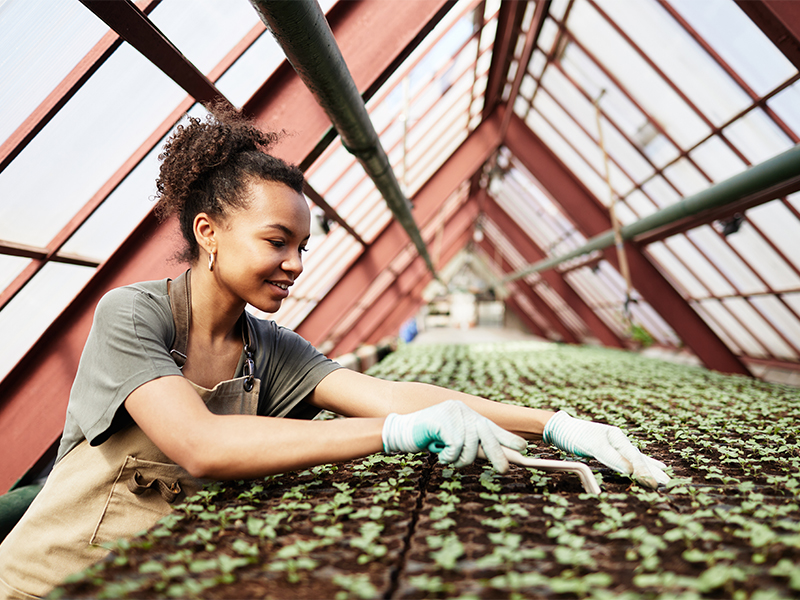 Tarım Sektöründe Kadınlar: 2023'te Engelleri Aşmak 1