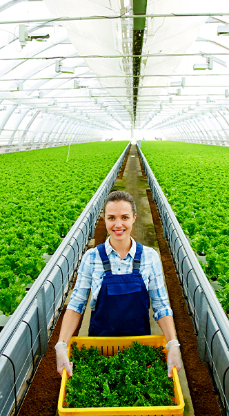 ¿Cómo se puede diferenciar la Agricultura Intensiva de la Horticultura? 1