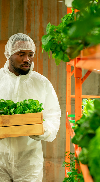 Everything You Need To Know About Vertical Farms 2