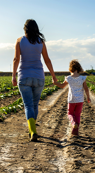 Propriedades agrícolas familiares: uma viagem através das gerações 1