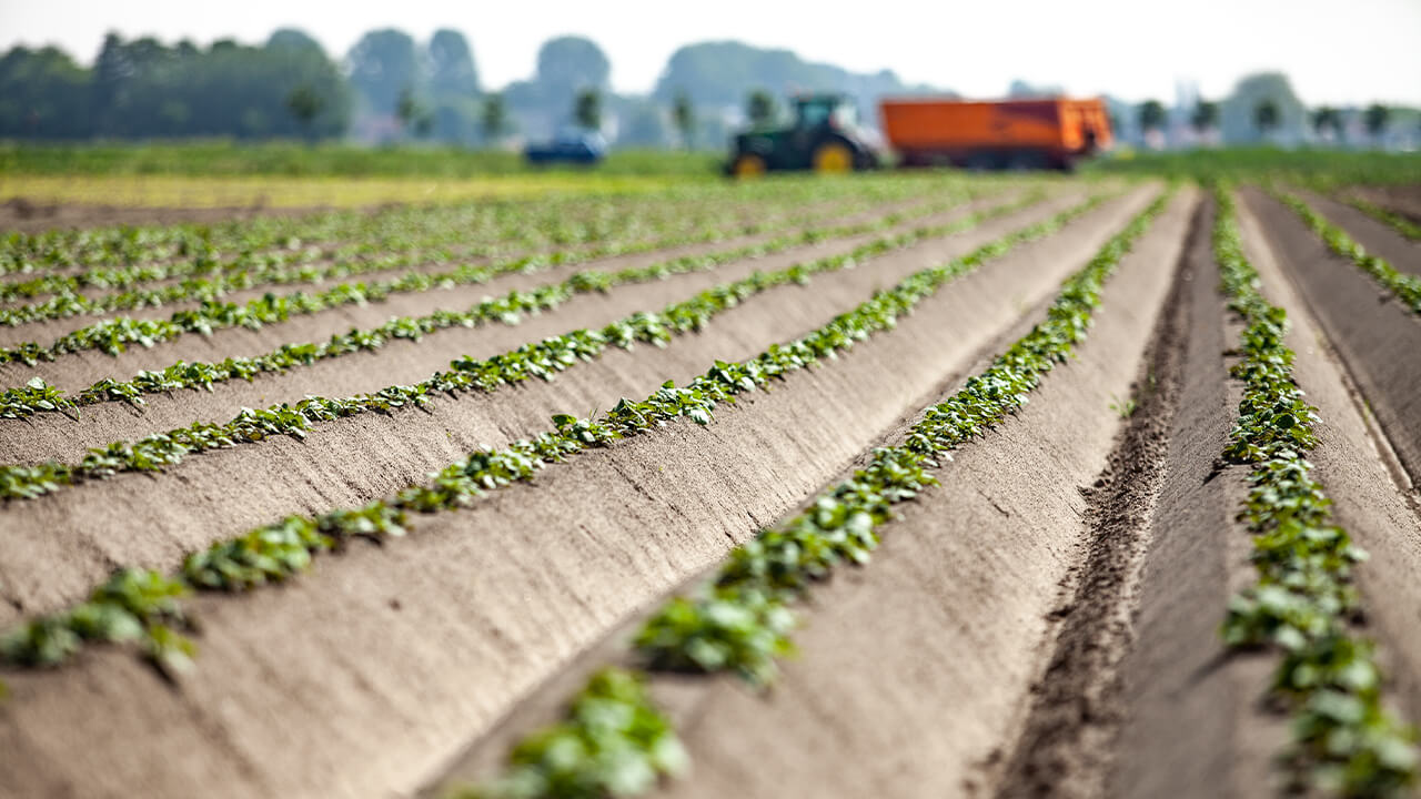 Landwirtschaft 1