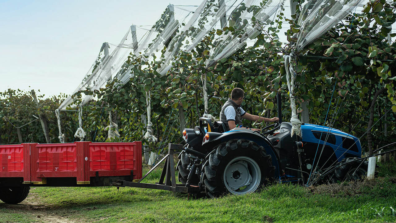 Landwirtschaft 4