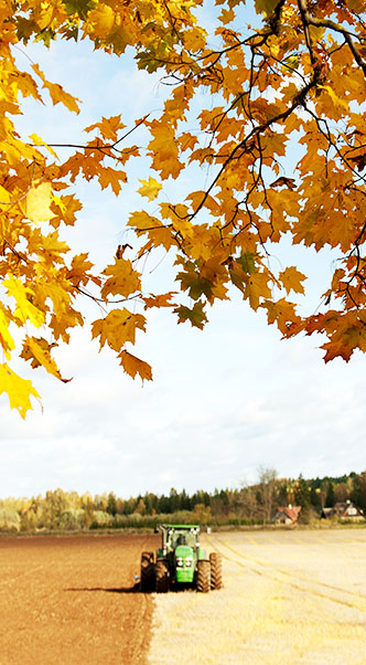 10 Tipps für die Pflege Ihrer Reifen im Herbst 1