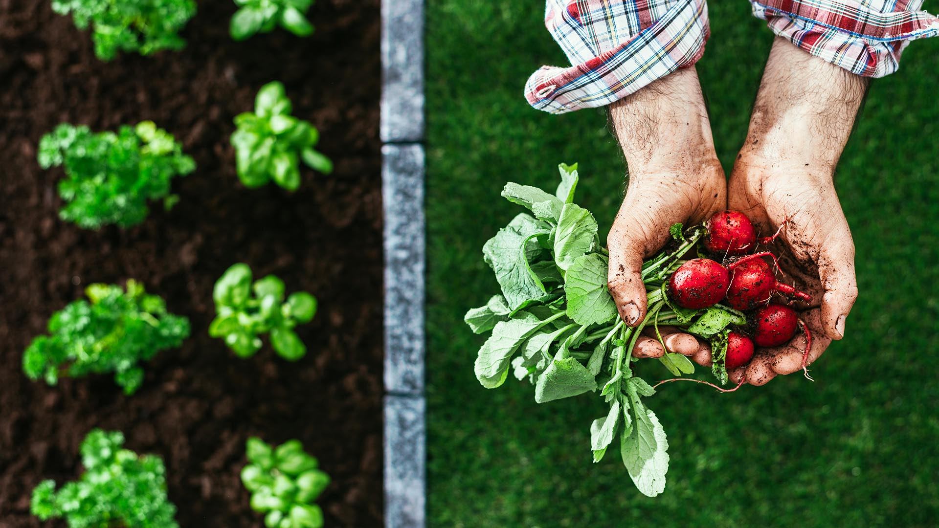 Scegliere l'agricoltura biologica - Vantaggi e svantaggi