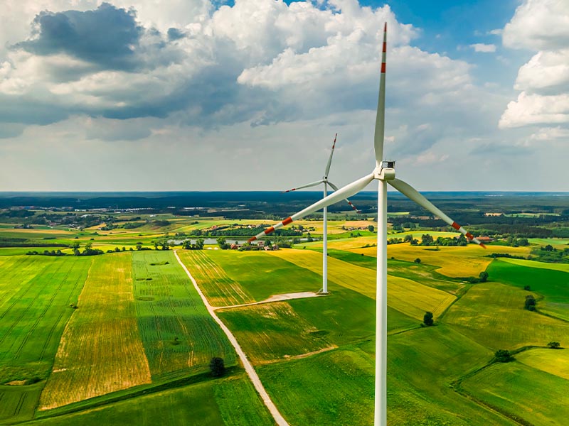 Sostenibilidad ecológica en la Agricultura: ¿Cómo funciona? 1