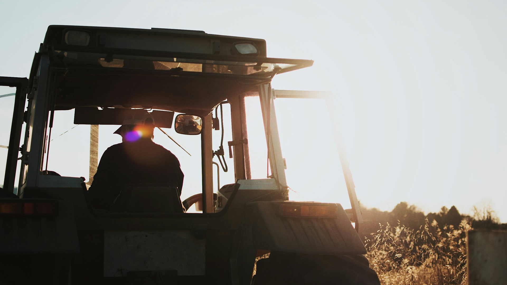 ¿Cómo evolucionará el sector Agrícola en el futuro?