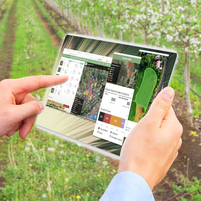Internet of Things in Agricoltura: 5 modi per rendere l'agricoltura smart 1