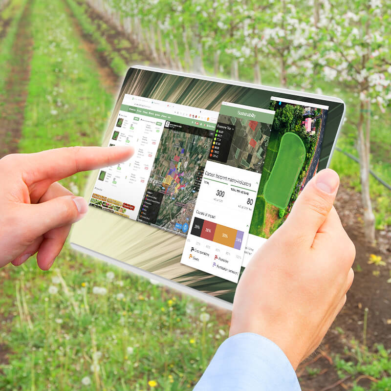 IoT na agricultura: 5 formas de tornar a agricultura inteligente 1