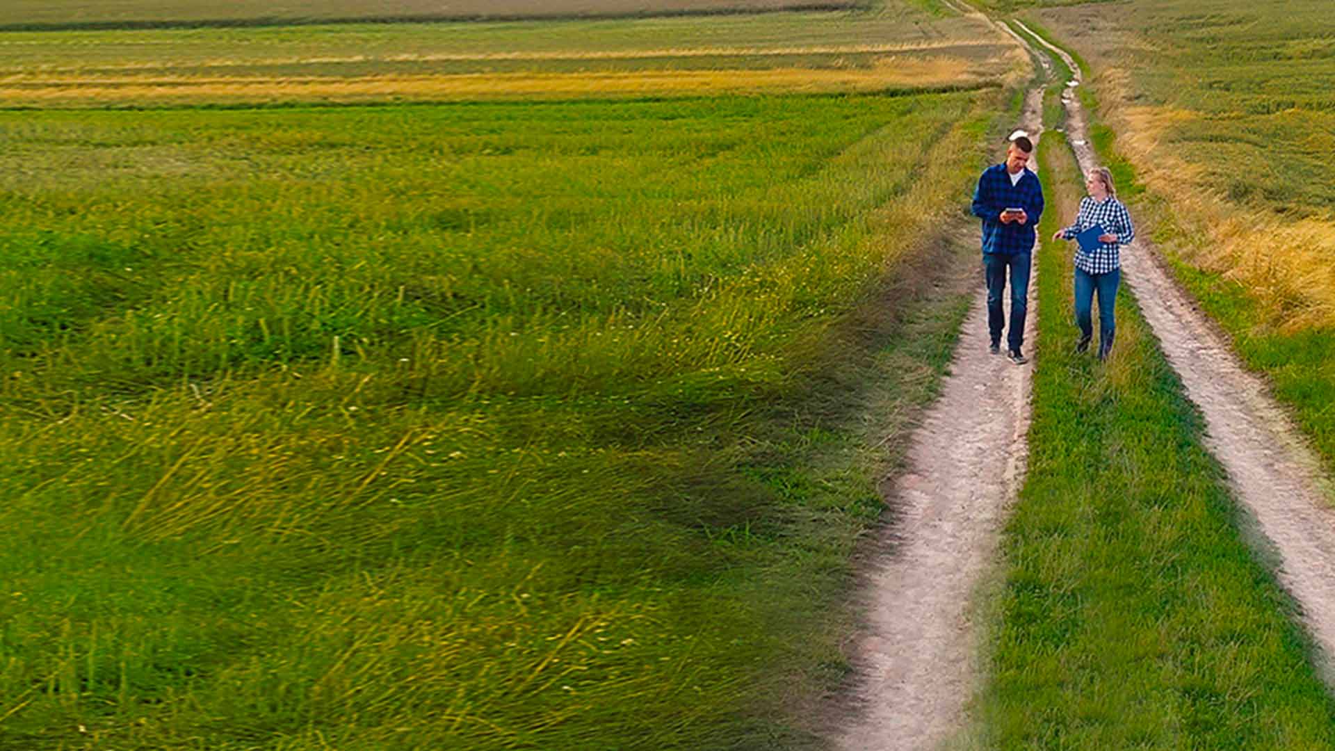 Wer werden die Landwirte von morgen sein?