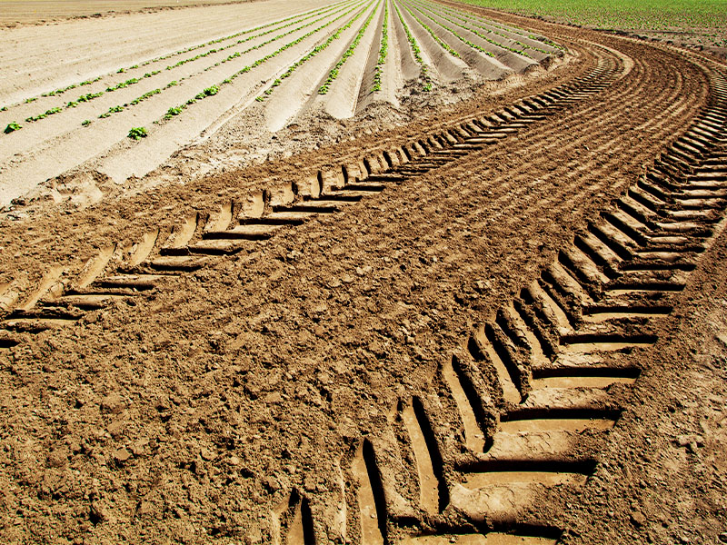 Landwirtschaftliche Trends, auf die Sie 2023 achten sollten 1