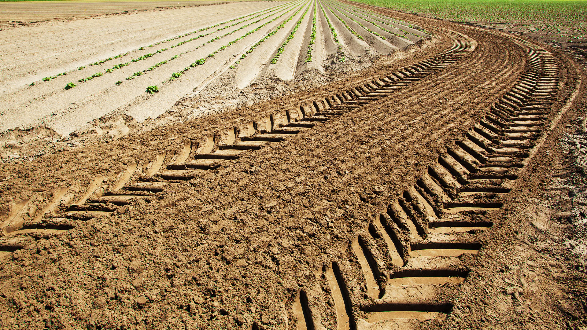 World and Machinery: Tendencias en la Agricultura a Tener en Cuenta en