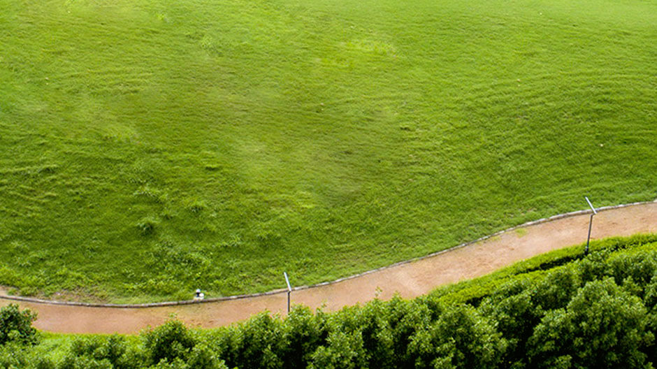 Cinturones Verdes