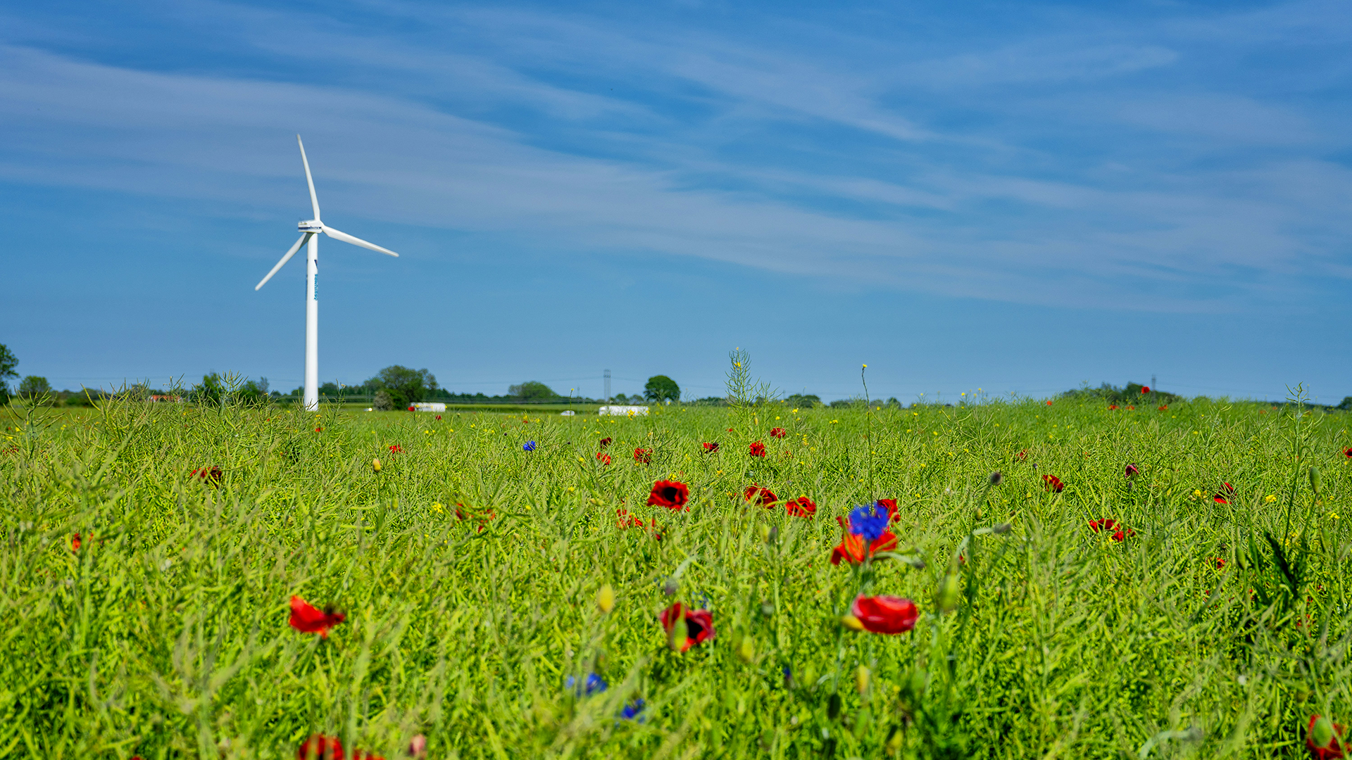 Bilmeniz Gereken En Önemli 5 Agritech Trendi