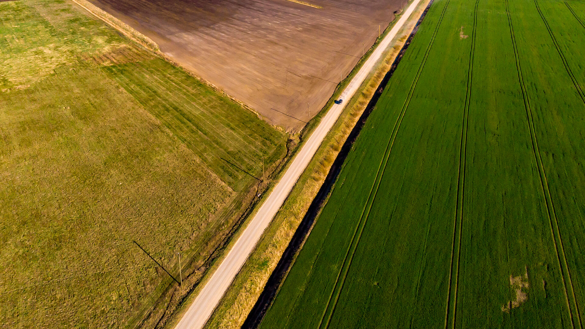 A inter-relação entre a agricultura e as alterações climáticas