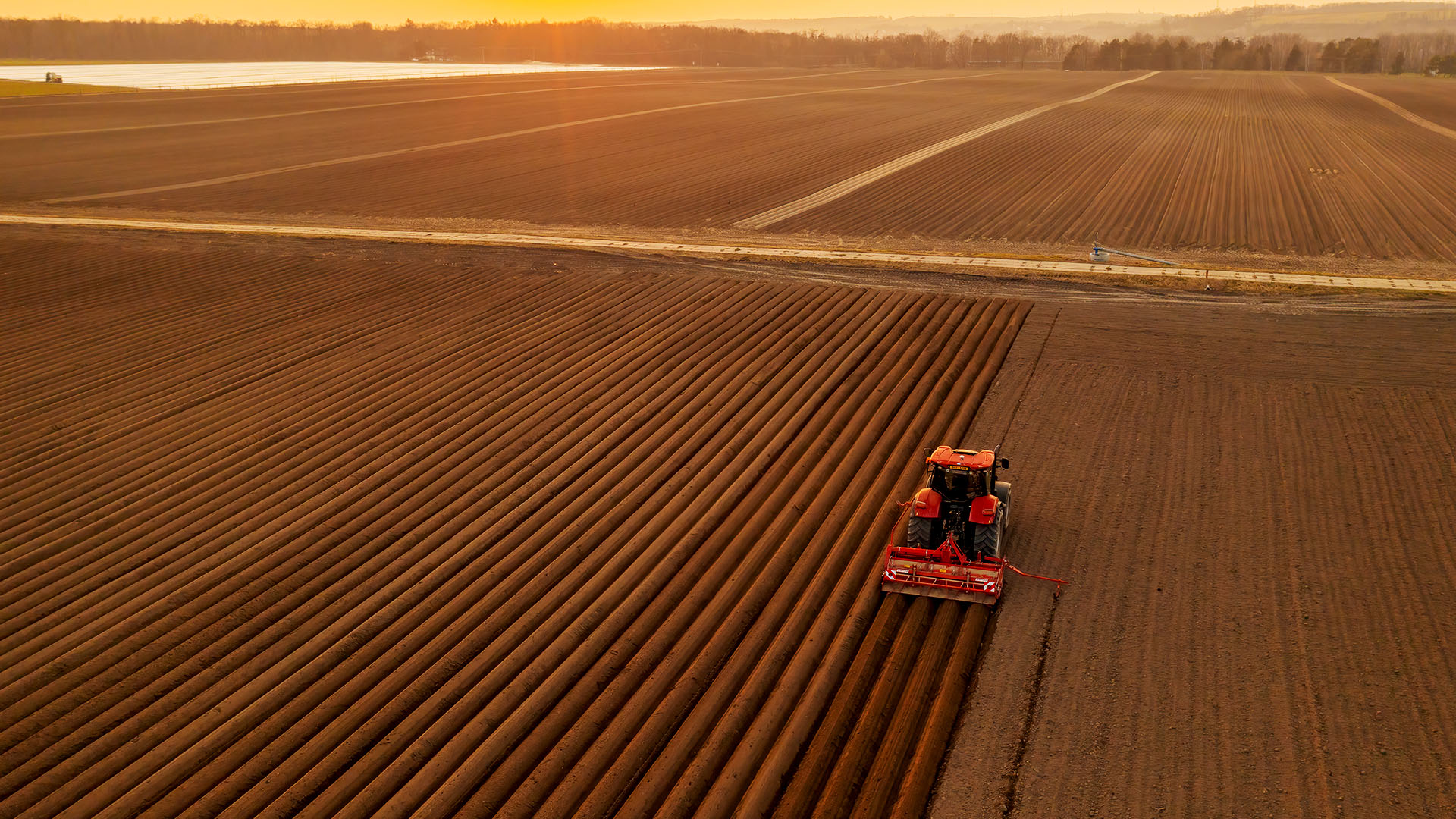 El Futuro de la Agricultura Orgánica