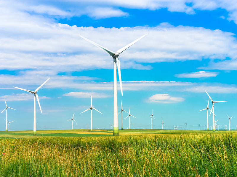 Agricultura Neutră din Punct de Vedere al Emisiilor de Carbon: Viitorul Pare Verde 1