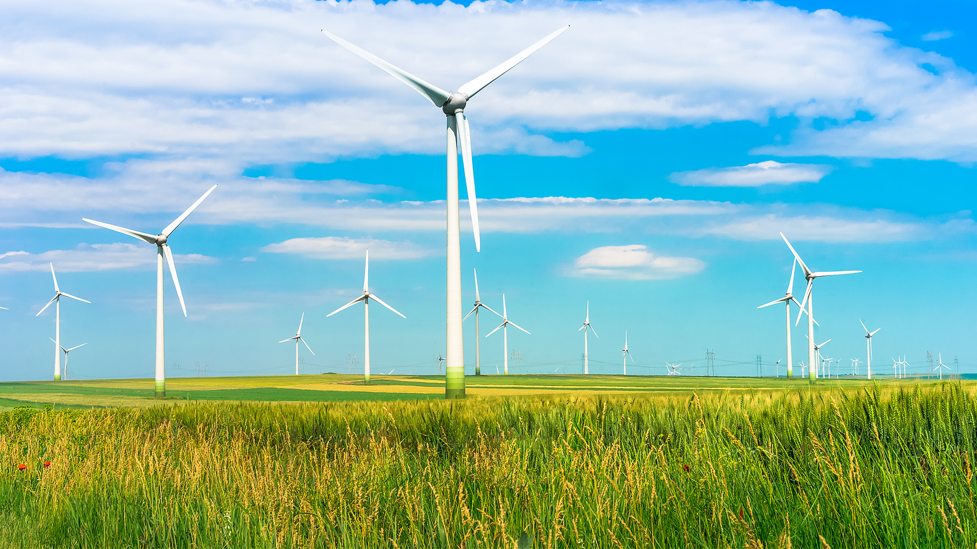 Agricultura Neutră din Punct de Vedere al Emisiilor de Carbon: Viitorul Pare Verde