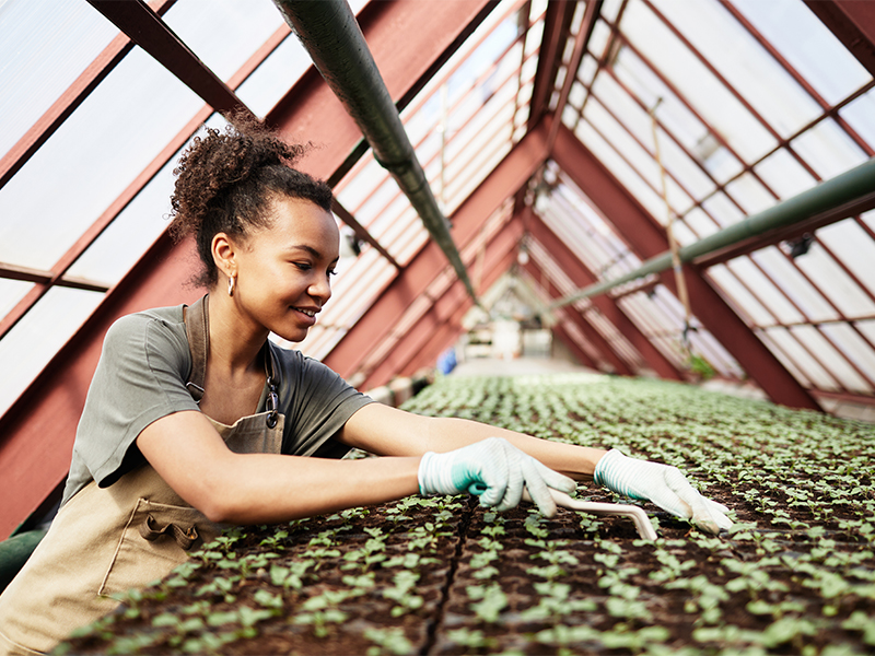 Les femmes dans le secteur de l'agriculture: briser les barrières en 2023 1