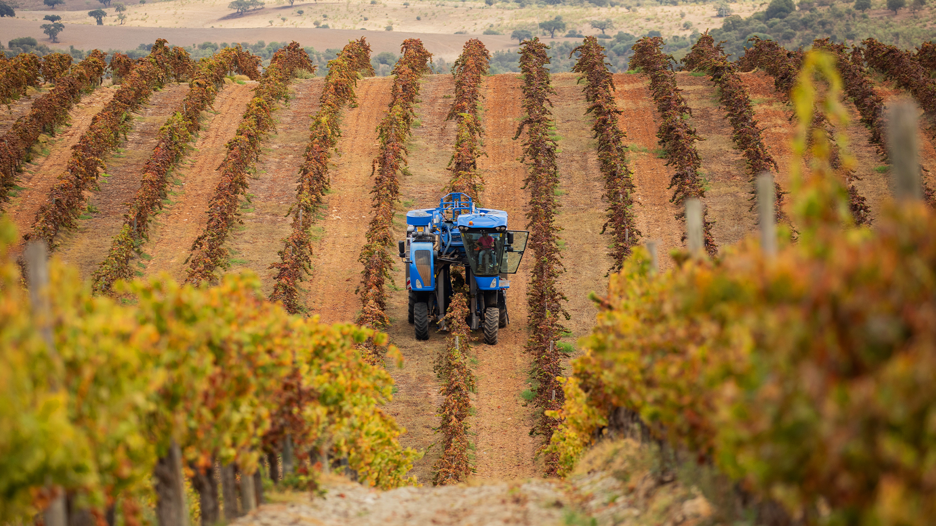 BKT Stories: Herdade do Pigeiro