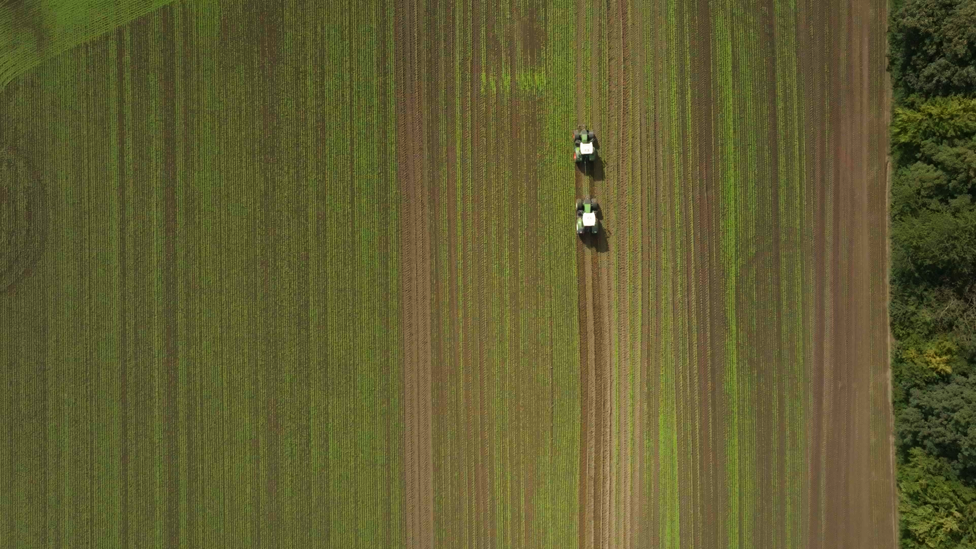 BKT FÅR DLG-GODKÄND KVALITETSMÄRKNING: AGRIMAX V-FLECTO-DÄCK UTMÄRKER SIG I FÄLT OCH LABORATORIETESTER MED VINNANDE RESULTAT