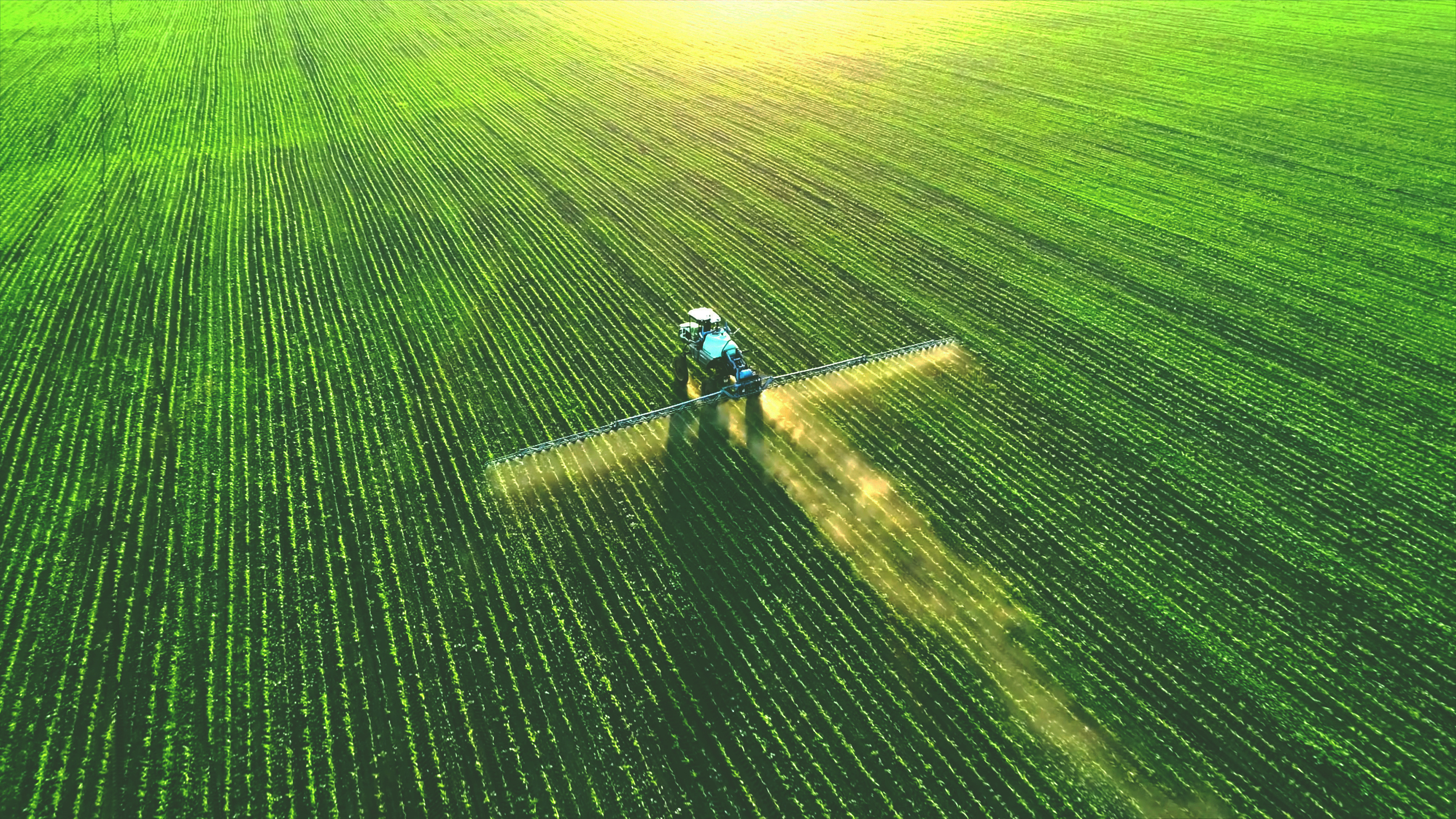 AI for Weed Control in Chemical and Mechanical Defense 1