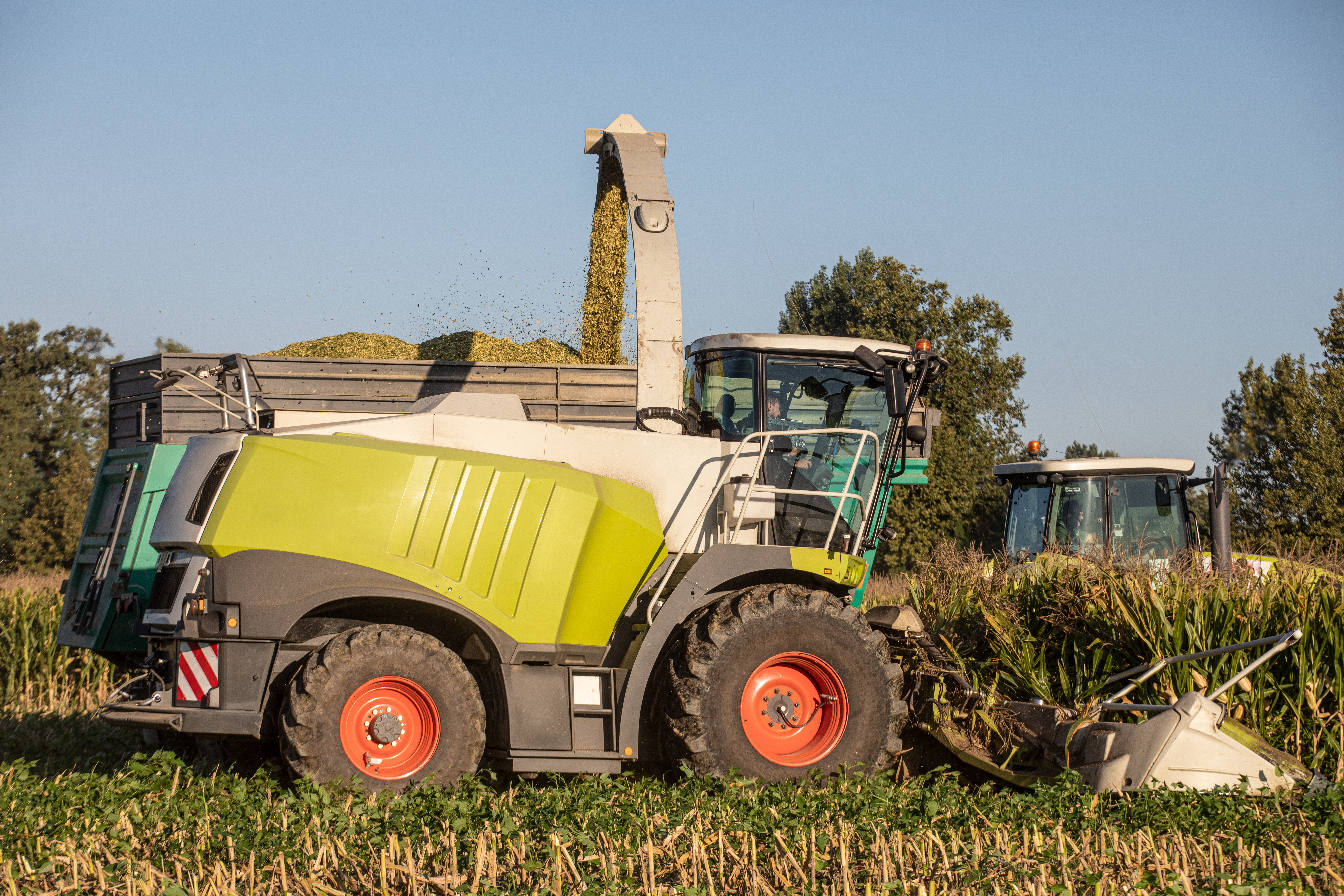 Corn Weed Control: Why an Integrated Strategy Is Essential 1