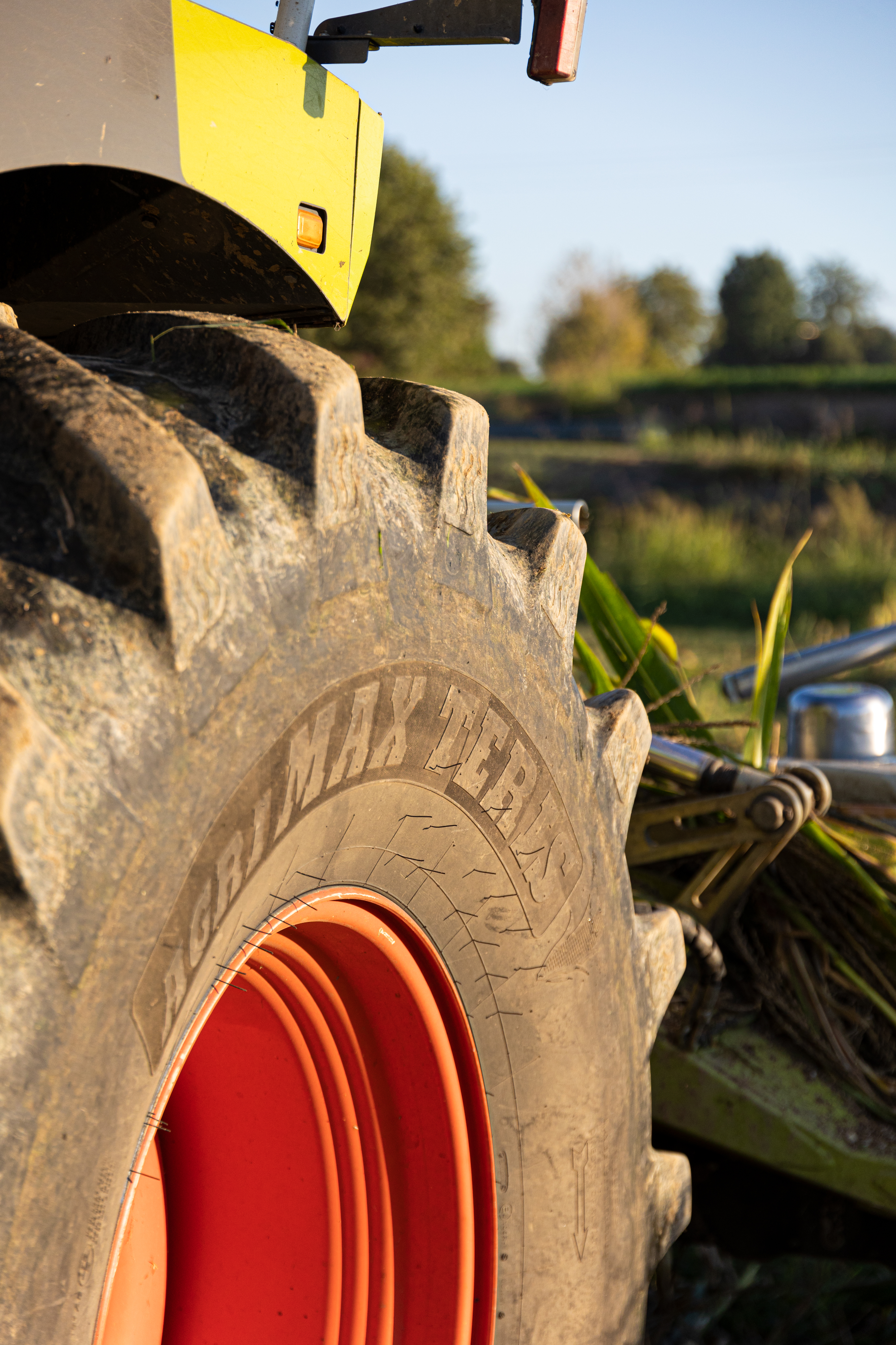 Corn Weed Control: Why an Integrated Strategy Is Essential 2