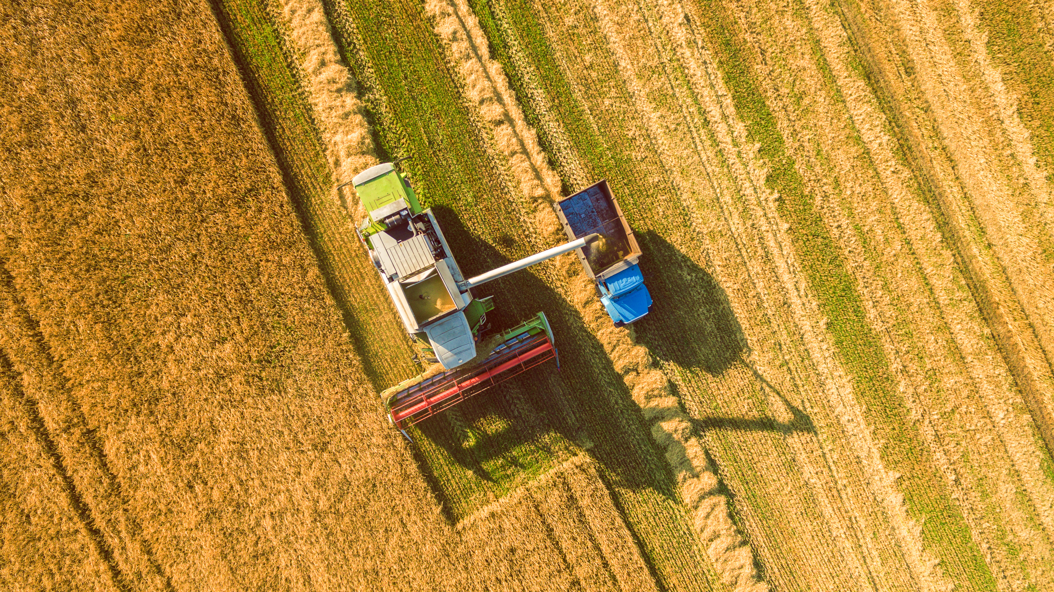 AI, space satellites and agriculture: looking down to grow up 1