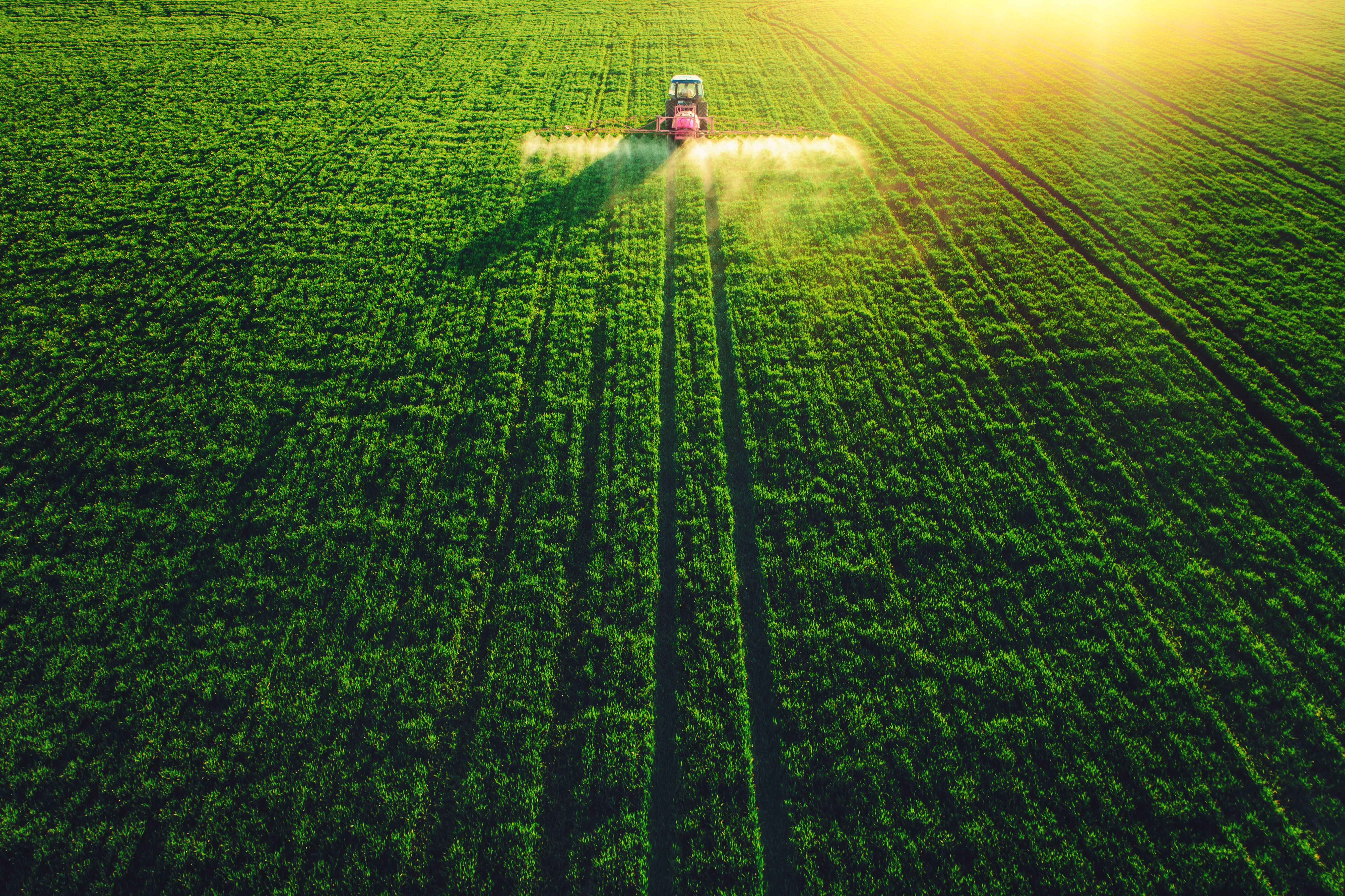 AI, space satellites and agriculture: looking down to grow up 1