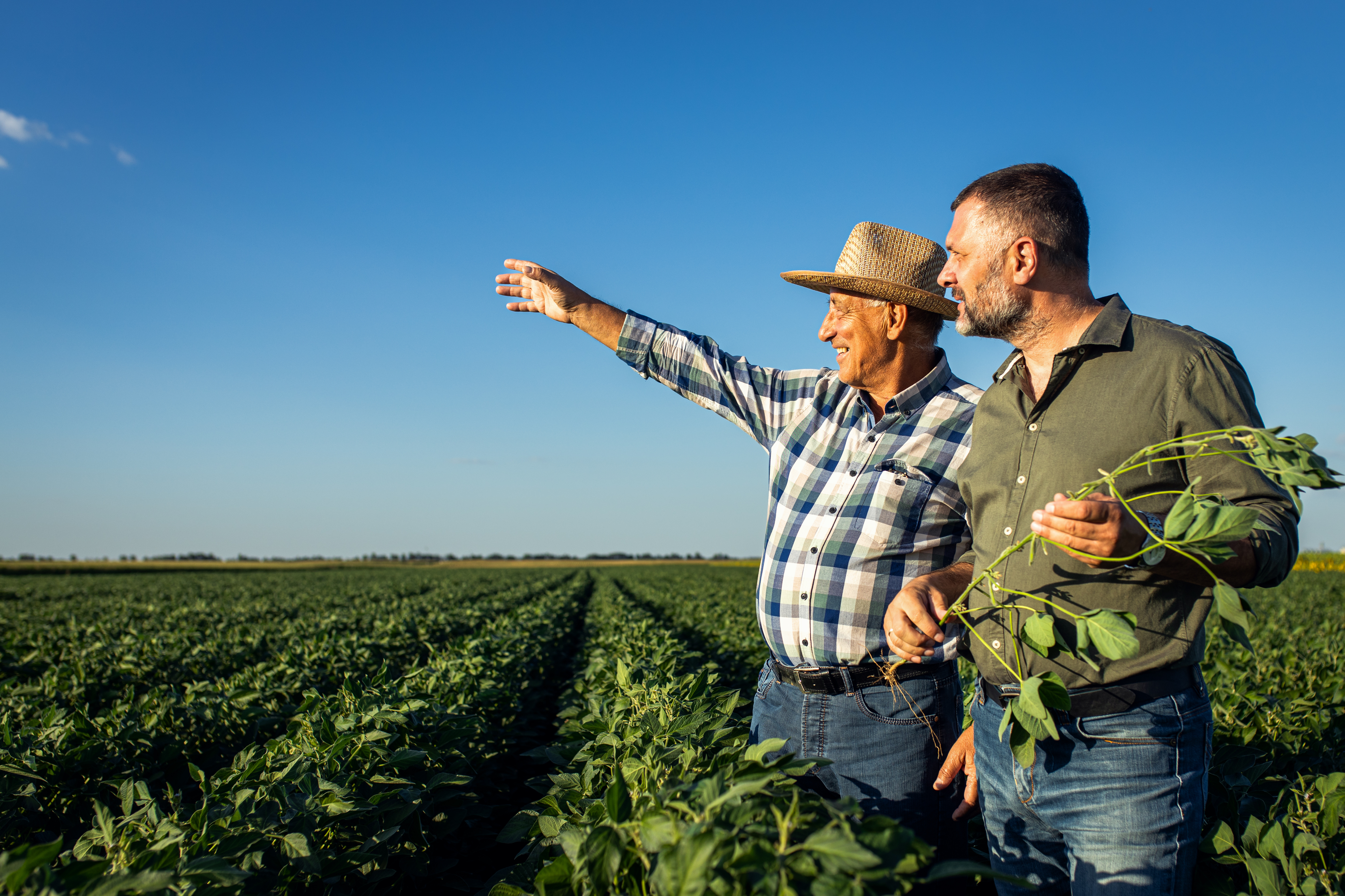 European Commissions Competitiveness Compass: A New Opportunity for Farmers 1