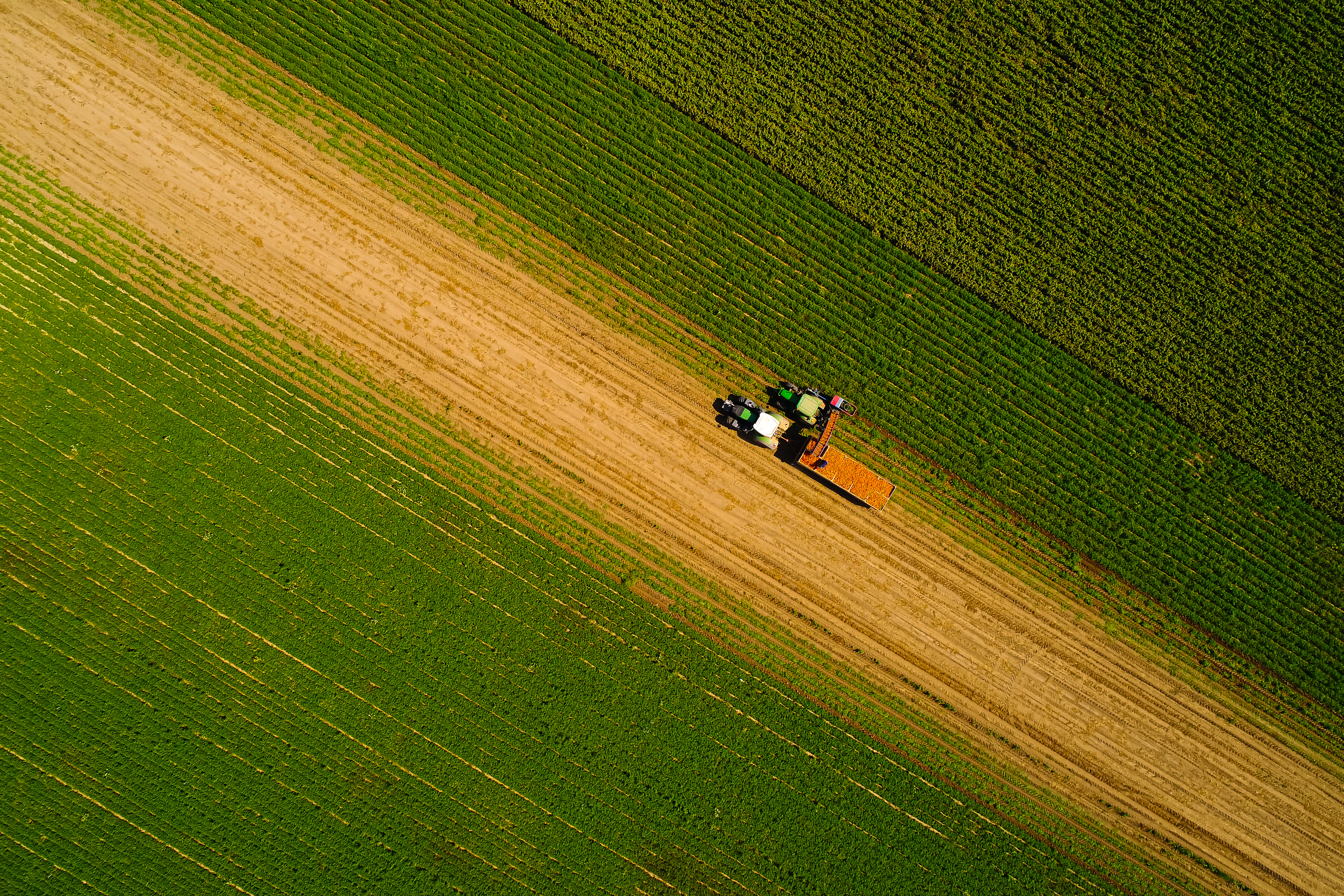 European Commissions Competitiveness Compass: A New Opportunity for Farmers 2