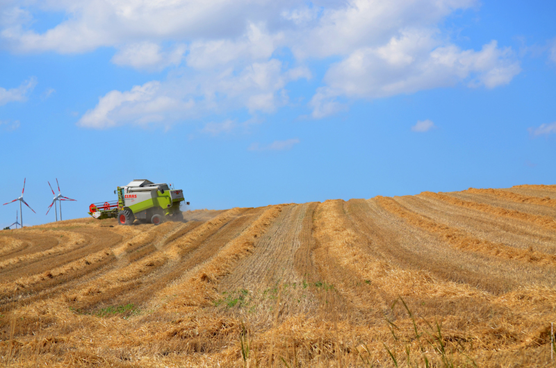 Harvest time with highly performing BKT tires 1