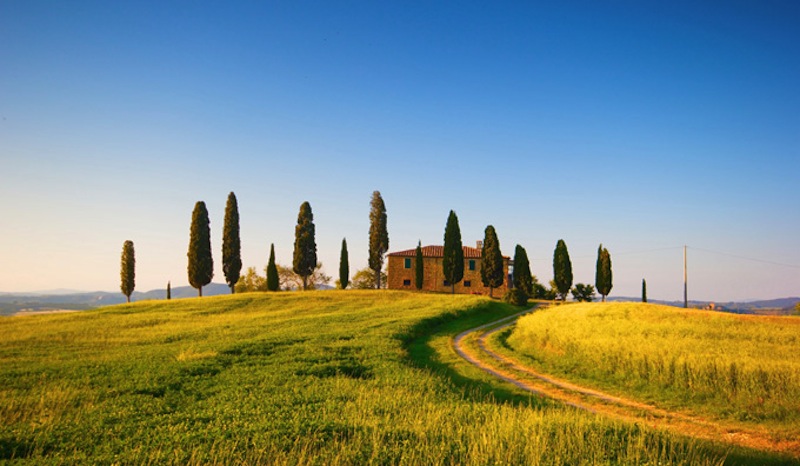 Grandi e piccole aziende agricole 1