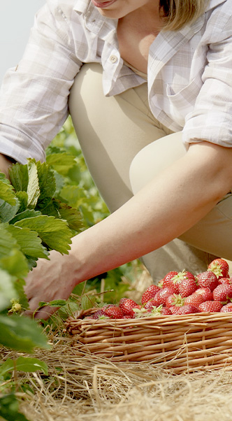 Choosing Organic Farming - Advantages and Disadvantages 2