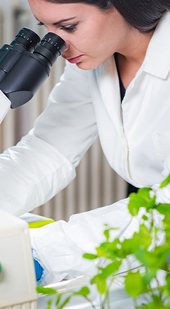The Use of Bioengineering and IoT to Increase Agricultural Production 2