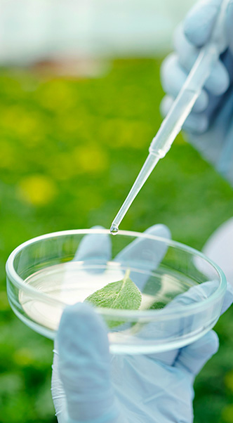 A Look at the Top 10 Agriculture Trends for 2023 2