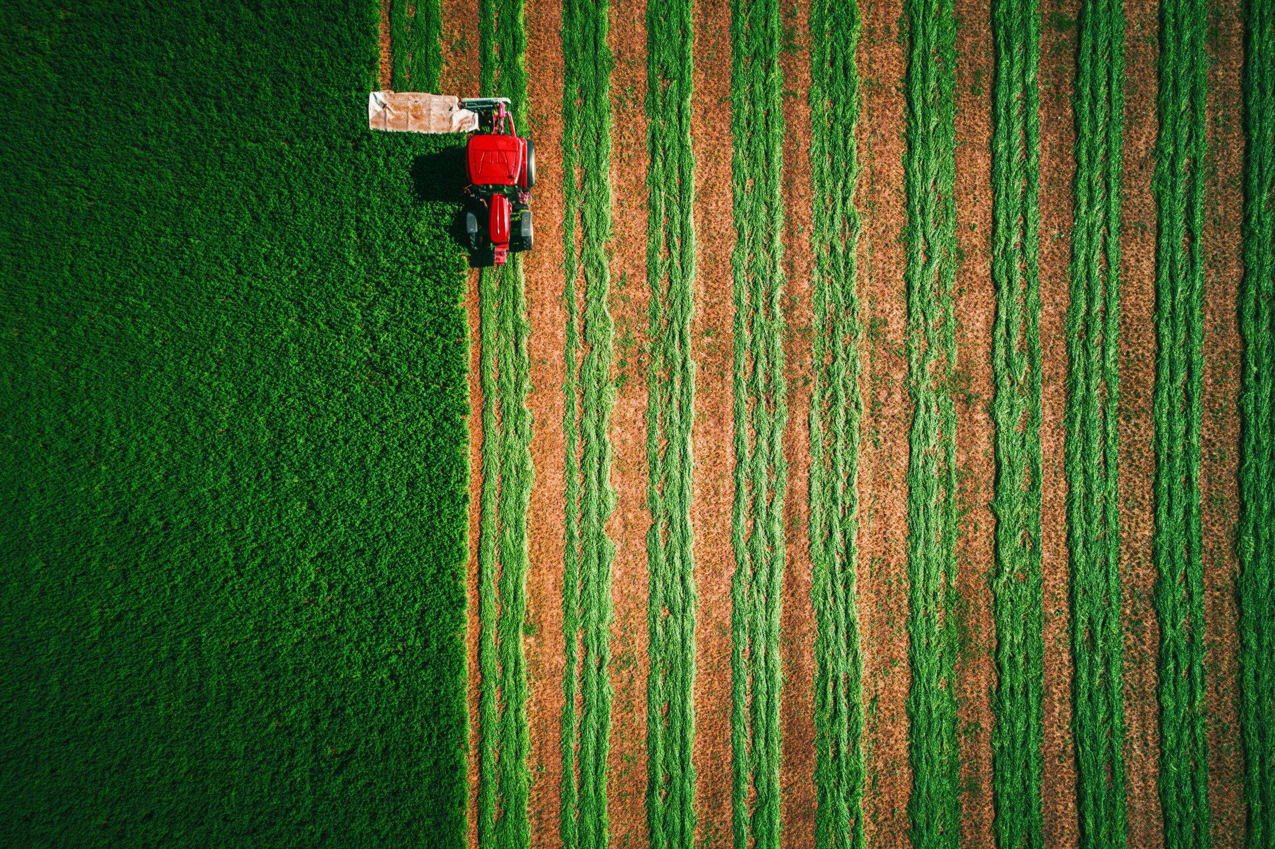 Tractor mowing green field, aerial view